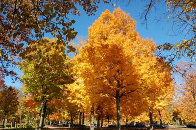 autumn_at_baraboo_wi_area_