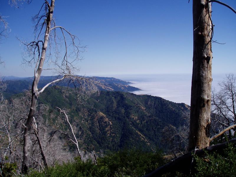 View from top looking sourth down coast