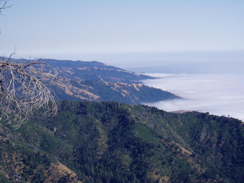 View from top looking sourth down coast
