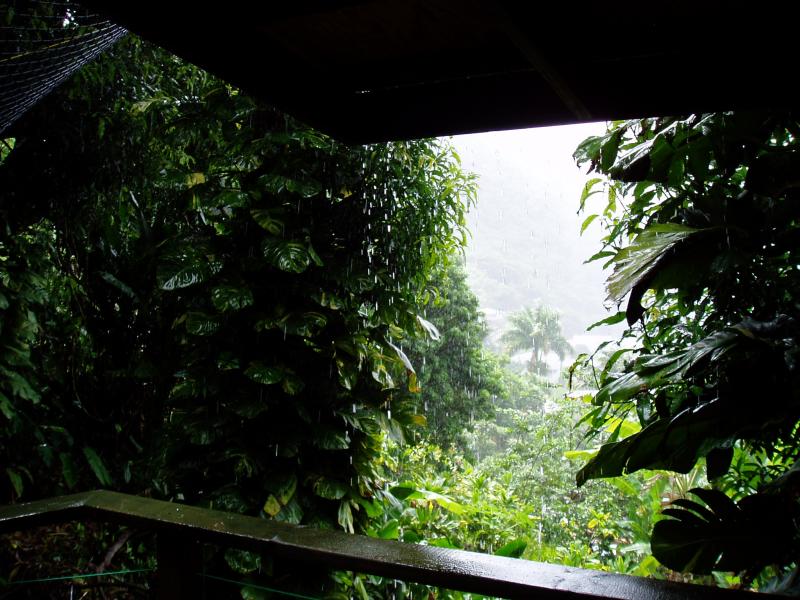 Vew off deck