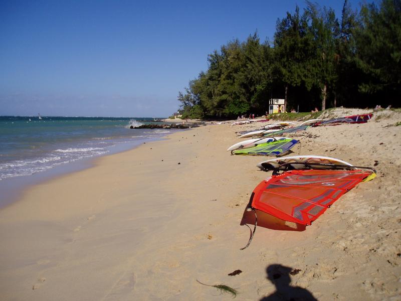 Sailboarders
