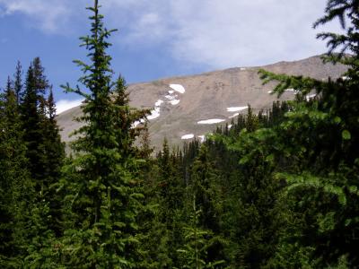 Ultimate goal.   Mount Yale.  Elevation 14,196