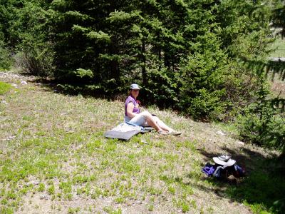 Meadow at base camp.