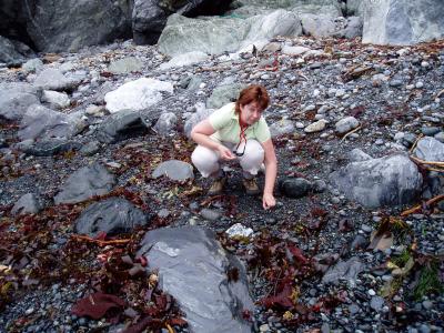 Prospecting for jade