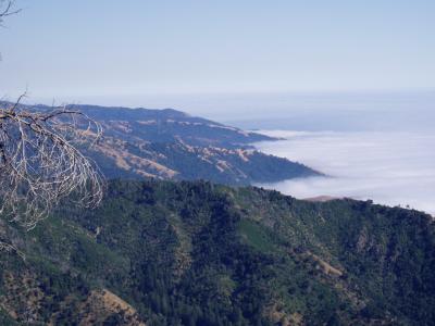 View from top looking sourth down coast