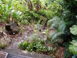 Mikes Yard