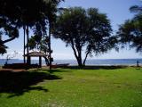 Lawn
