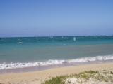 Sailboarders
