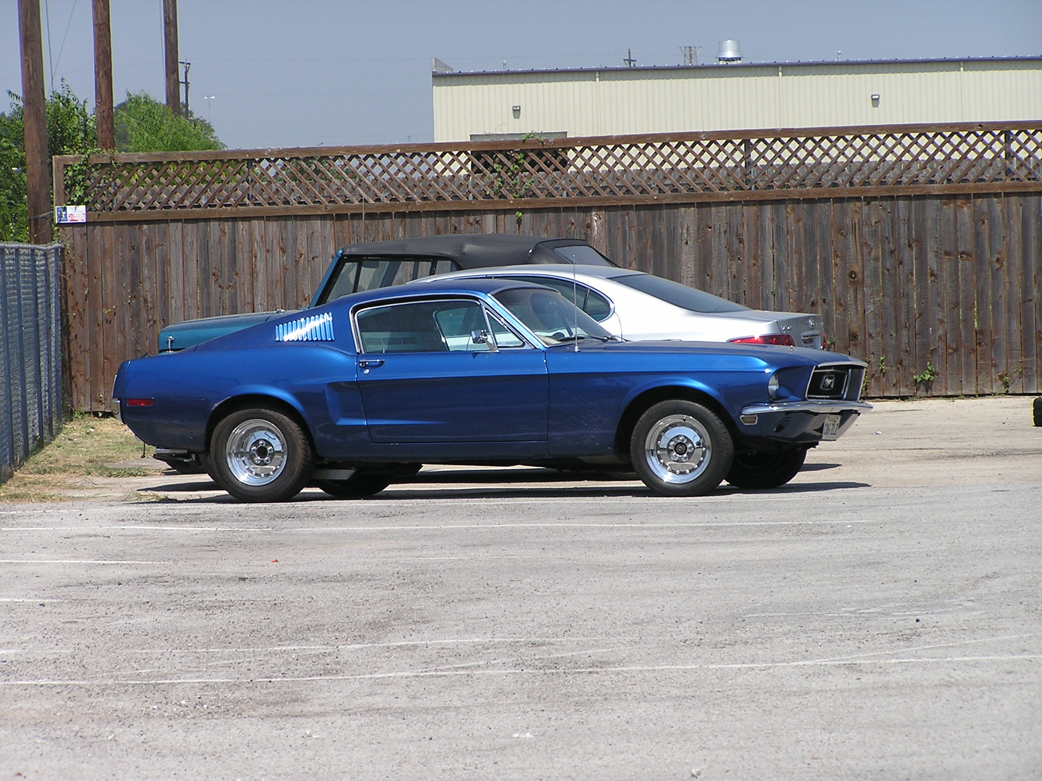 Blue Mustang.JPG