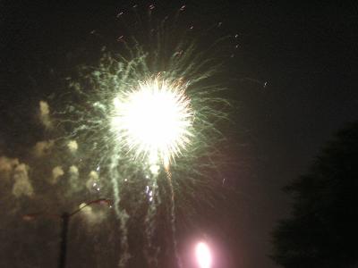 Fireworks pic 10.JPG