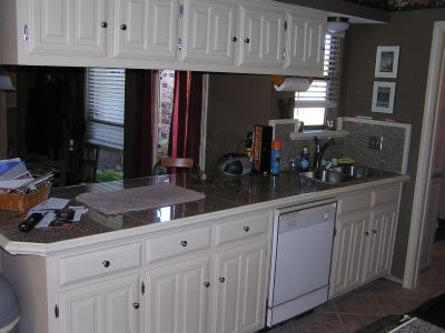 v3/77/498077/3/46620858.Kitchencounter.jpg
