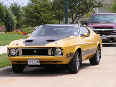 Mach 1 Mustang.JPG