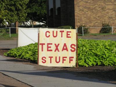 Cute Texas Stuff sign.JPG