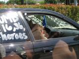 Dog in car pic 1 July 05.JPG