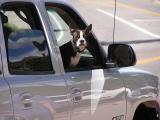 Dog in car - Estes Park CO.JPG