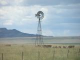 New Mexico Windmill.JPG