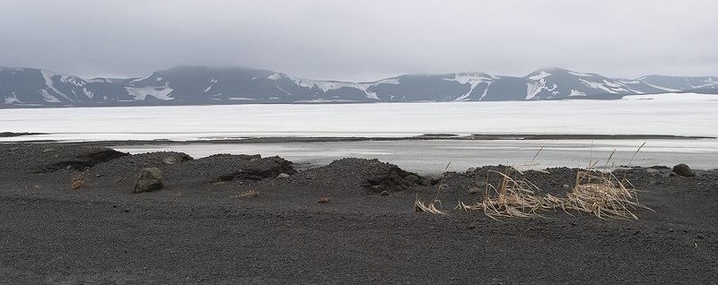 CRW_0642.jpg