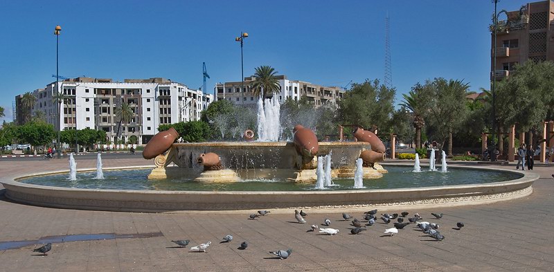 CRW_9916.jpg