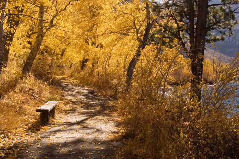 Convict Lake path