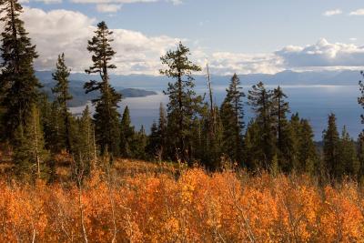 TahoeAutumn10-18-05