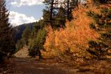 TahoeAutumn10-05.jpg