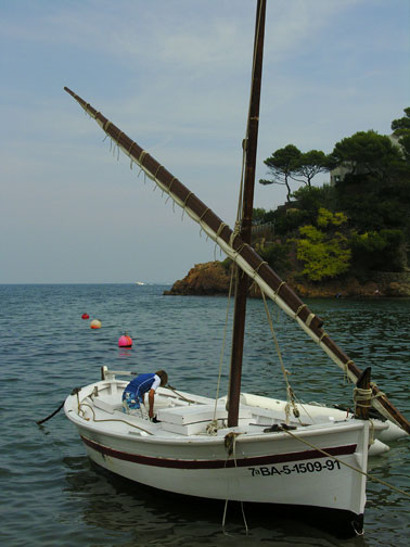8web0919.jpg