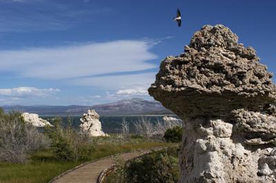 Mono Lake County Park