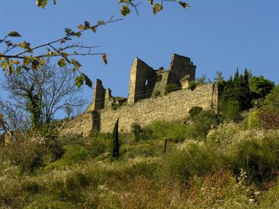 8web1301.jpg