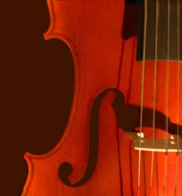 Violin