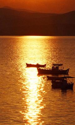 Greek Amber