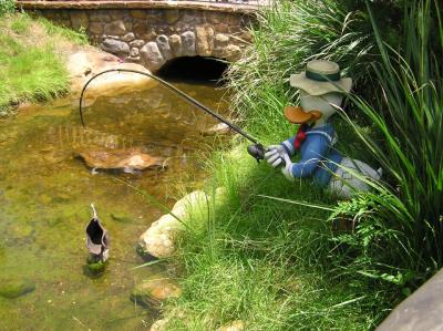 Animal Kingdom