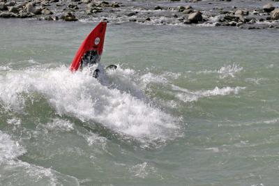 IMG_1178.jpg