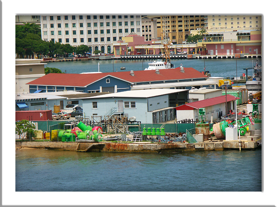 PICT0972w.jpg