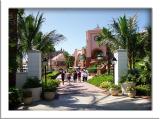 PICT1359w.jpg