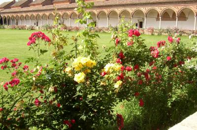 Certosa cloister 5