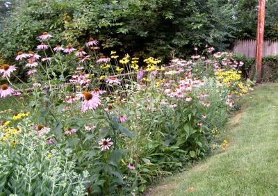 Judys Flower Garden 2.jpg