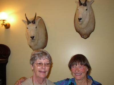 Mountain Goats.jpg