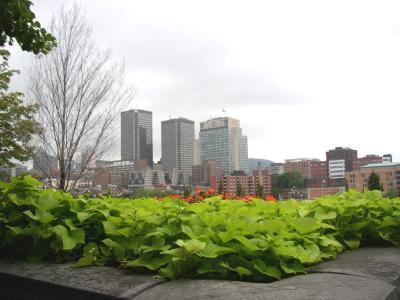 Downtown from Place Jacques Cartier.jpg