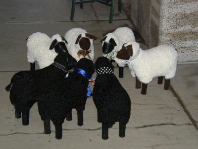 Meeting of the Lambs.jpg