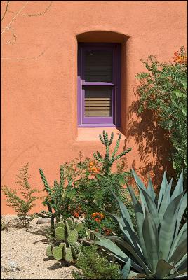 window and cacti.jpg
