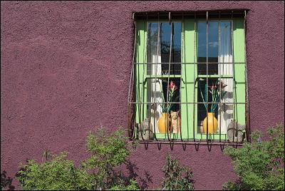 window.jpg