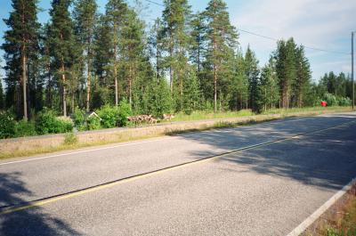 primeros renos Finlandia, me hicieron dar un tremendo frenazo pues estaban cruzados en la carretera, en fila india