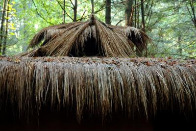 JPG CS ThatchedRoof DSC_7218.jpg