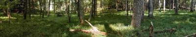 JPG CS 2Pano Glen.jpg