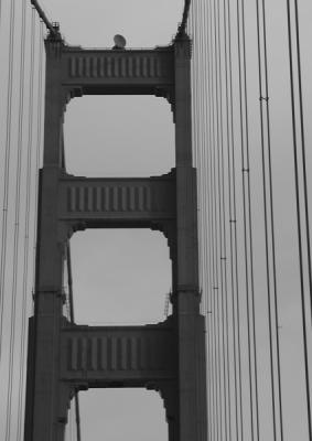 JPG CS BW GGBridge P6141727.jpg
