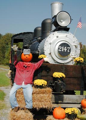 JPG CS Pumpkin Engineer DSC_3094.jpg