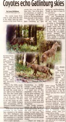 JPG 2CS Coyote Article.jpg