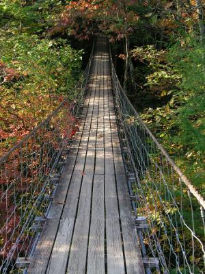 JPG CS1 Swinging Bridge PA190412.jpg