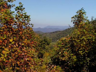 JPG CS MtnView PA291558.jpg