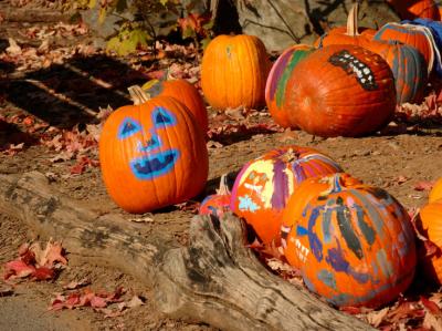 JPG CS Punkins DSC_8848.jpg